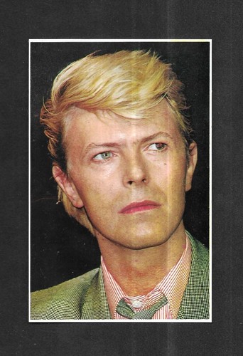 Rare carte postale david - /,