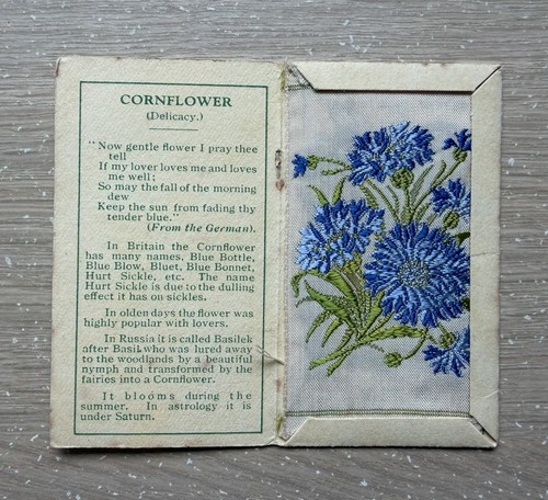 Kensitas wix flowers - kensitas,