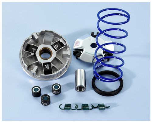 241 671 variatore - variatore, polini