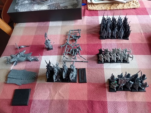 Warhammer fantasy elfo alto - fantasy,