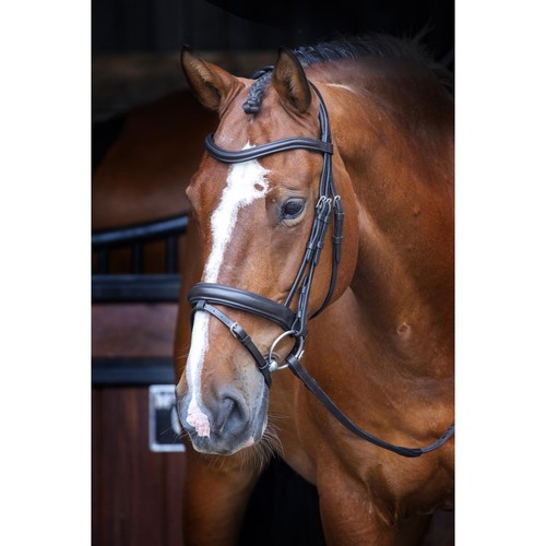Shires velociti rapida - shires,