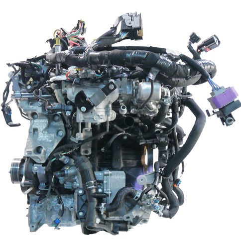 Motore per nissan - motore, renault