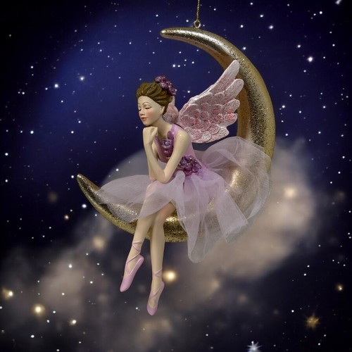 Goodwill fee ballerina - ballerina, seduta