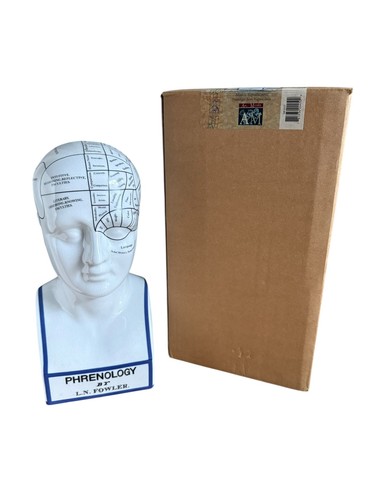Testa frenologica busto - frenologica,