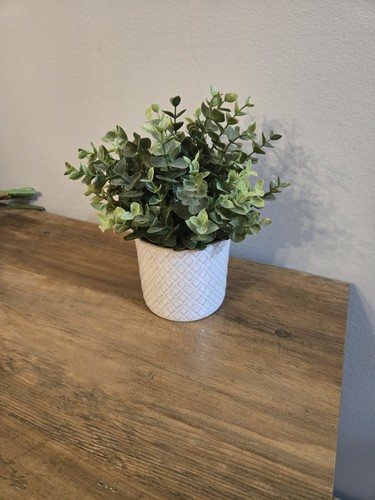 Ikea pianta finta legno - in, di