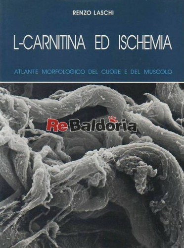 Carnitina ischemia - l-carnitina,