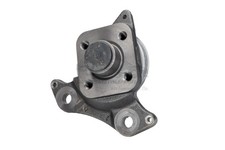 Perno asse sinistro originale