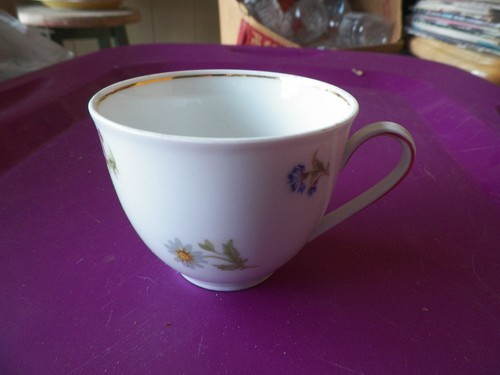 Bavaria cup available - 3,