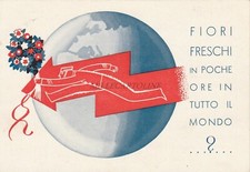 CARDILLI & ZAMPONI - Fiori e