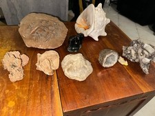 Fossili mineral i - -, i-