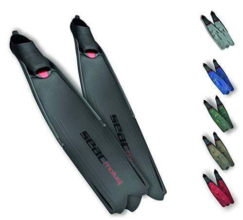 Seac motus pinne - seac,