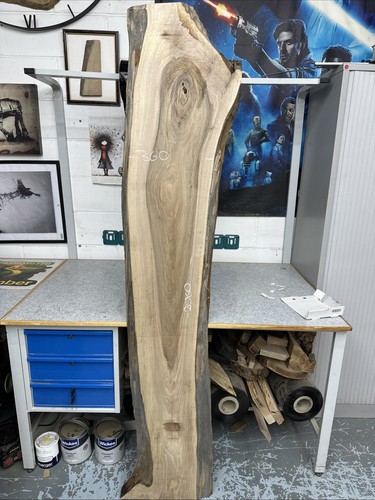 Legno massello noce - di,