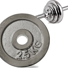 DISCO OLIMPICO IN ACCIAIO