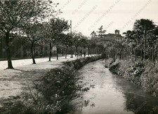 1956 UDINE Canale Ledra biciclette Fotografia