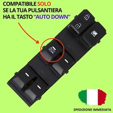 Pulsantiera (AUTO DOWN)