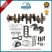 KIT RICOSTRUZIONE ALBERO