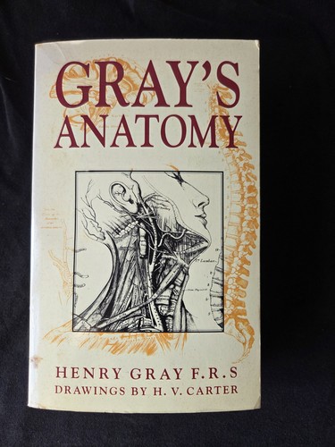 Gray anatomy descriptive - gray's, &