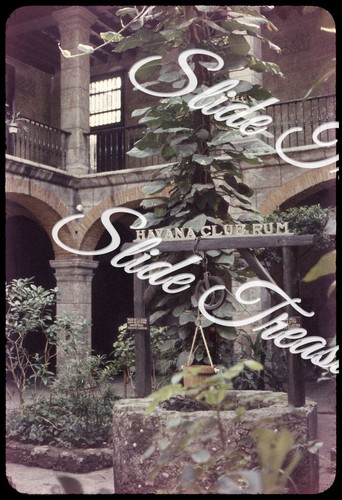 Insegna havana club rum - club,