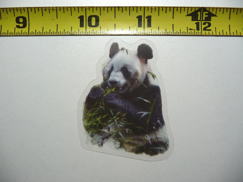 Panda mangiare bambù - mangiare,