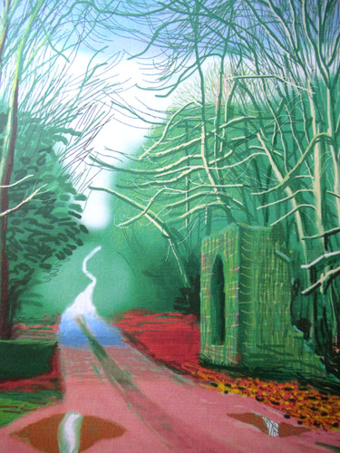 Litografia david hockney - david,