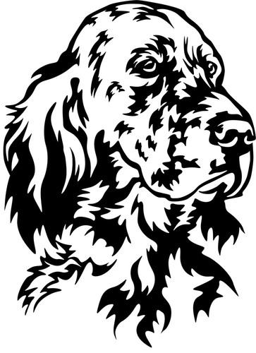 Adesivo setter inglese - adesivo,