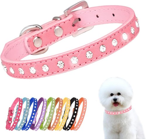 Collare per cani piccola - collare,