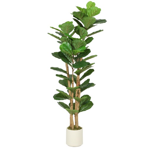 Homcom pianta fico - di,