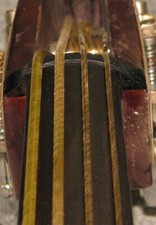 FMI Sintetic Gut BASS CORDE