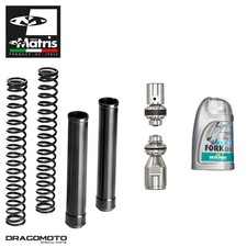 Kit forcella KAWASAKI Z 1000