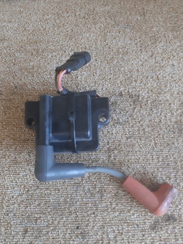 Bobina accensione evinrude - accensione,