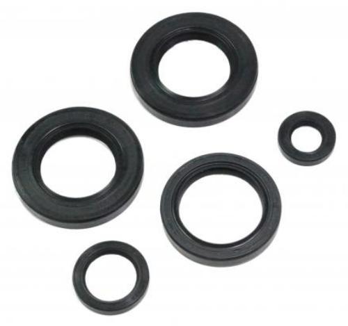 Kit paraoli per motore - kit,