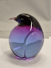 Pinguino livio seguso 13 - seguso, 13,5