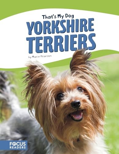 Yorkshire terriers - yorkshire,