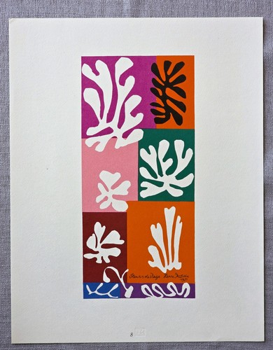 Henri matisse fiori neve - matisse, di