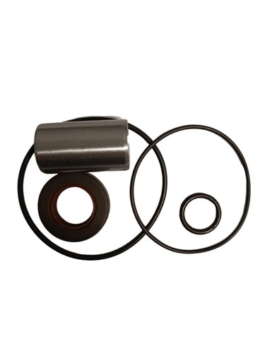 Kit revisione pompa