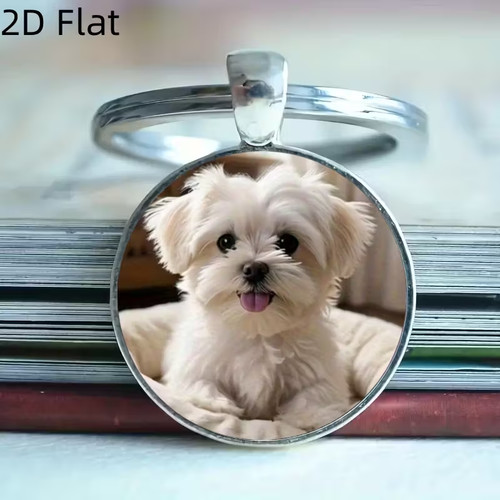 Carino cane maltese