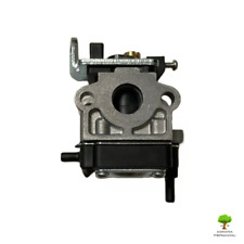 CARBURATORE HITACHI 6601487