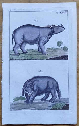 Rinoceronte stampa a - rinoceronte,
