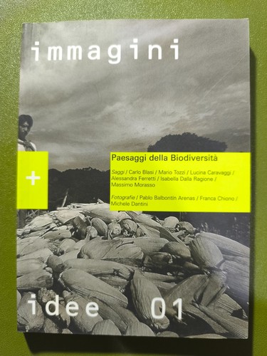 Libro paesaggi della - libro,