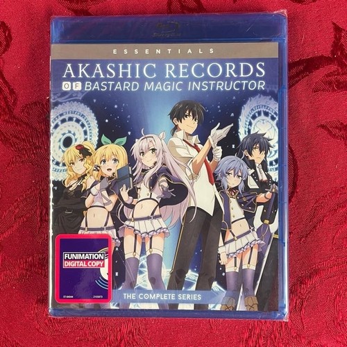 Akashic records bastard - records,