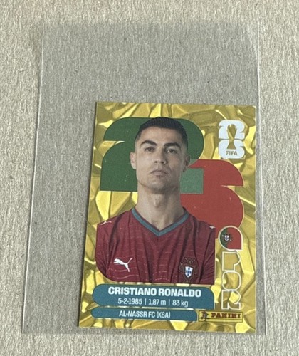 Panini fifa world - fifa, cup