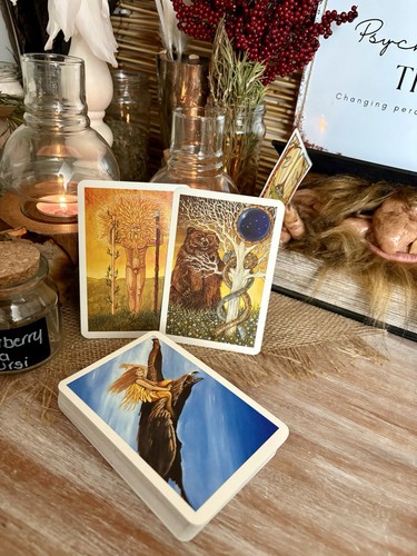 The dreampower tarot - the,