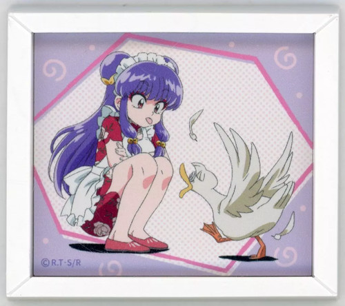 Ranma calamita collezione - 1/2,