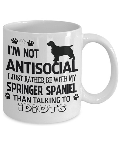 Springer spaniel cane - spaniel,