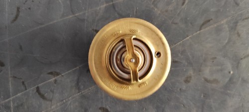 Termostato acqua behr - termostato,