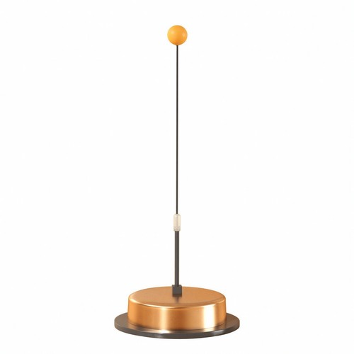 Allenatore rimbalzo con - rimbalzo,