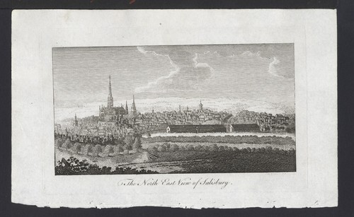 Salisbury metcalf rara - di,