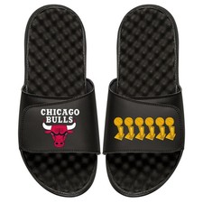 Chicago Bulls Trophies Slides
