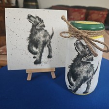 🐘 Barattolo, vaso, vaso e