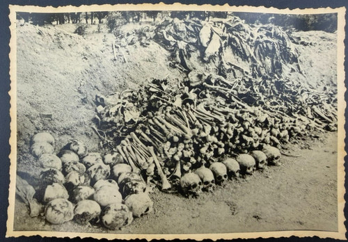 Foto scavi archeologici - foto, e